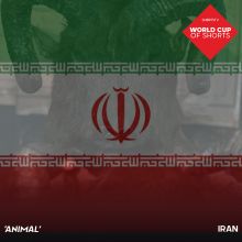 WCOS Poster Animal Iran